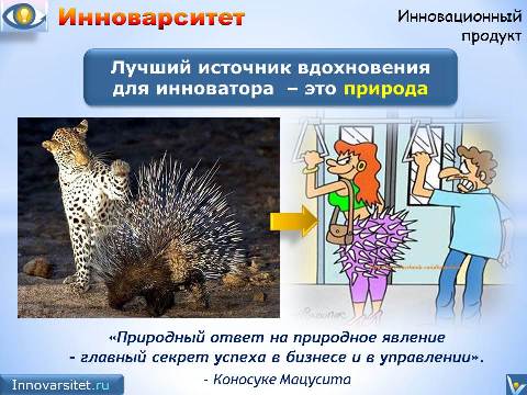 Инноварситет - университет инноваций: юмор, шутки про инновации, смешные картинки - лучший источник вдохновения для инноватора это природа